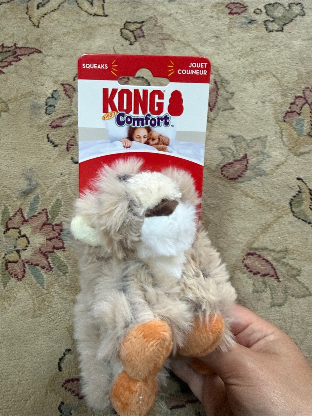 Kong comfort lion